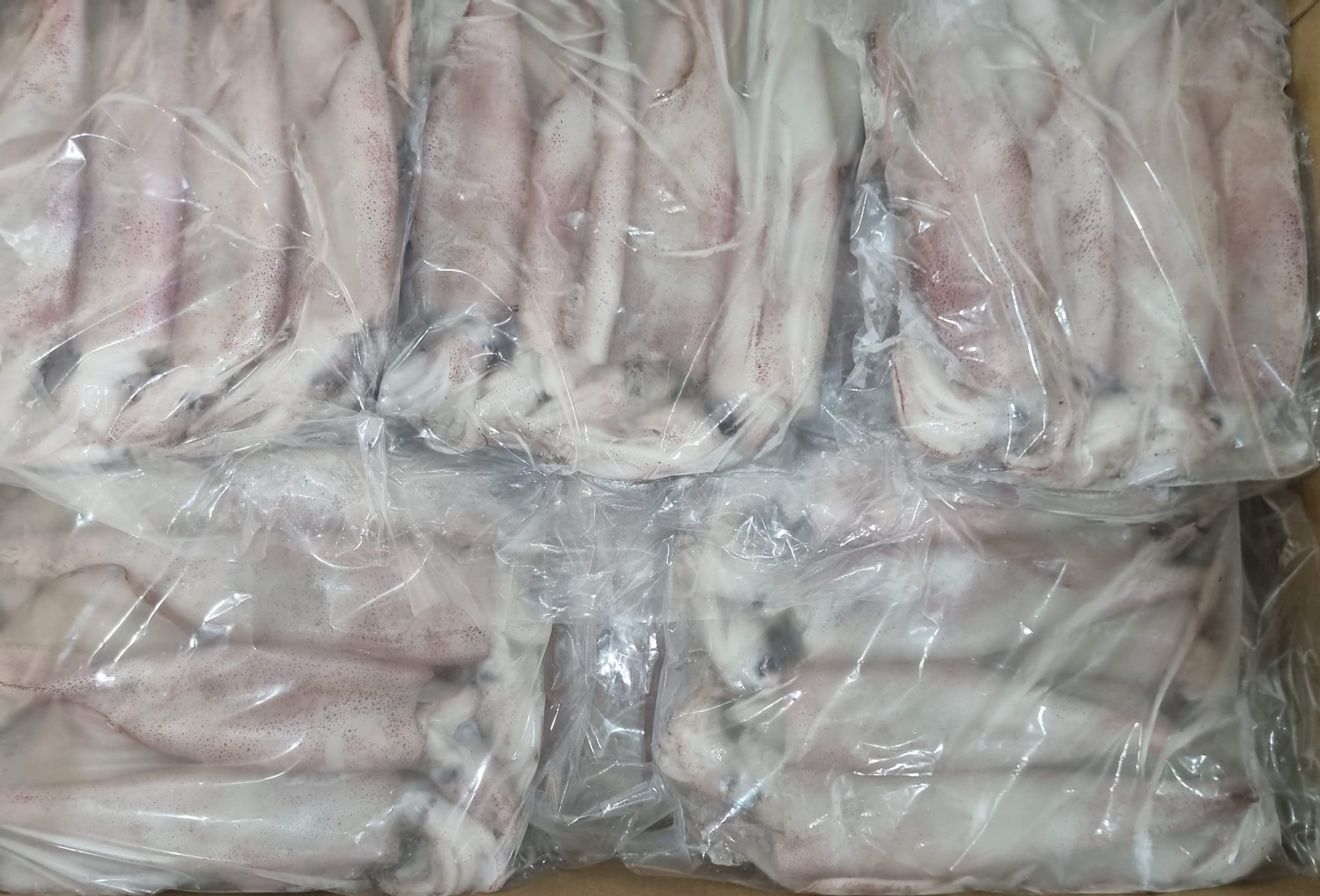 Mực Ống Nguyên Con Cấp Đông