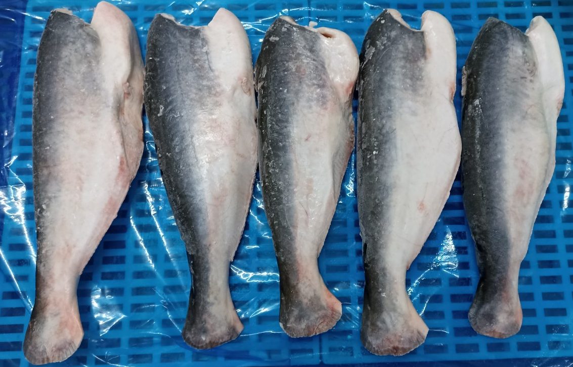 Cá Basa HL Cấp Đông