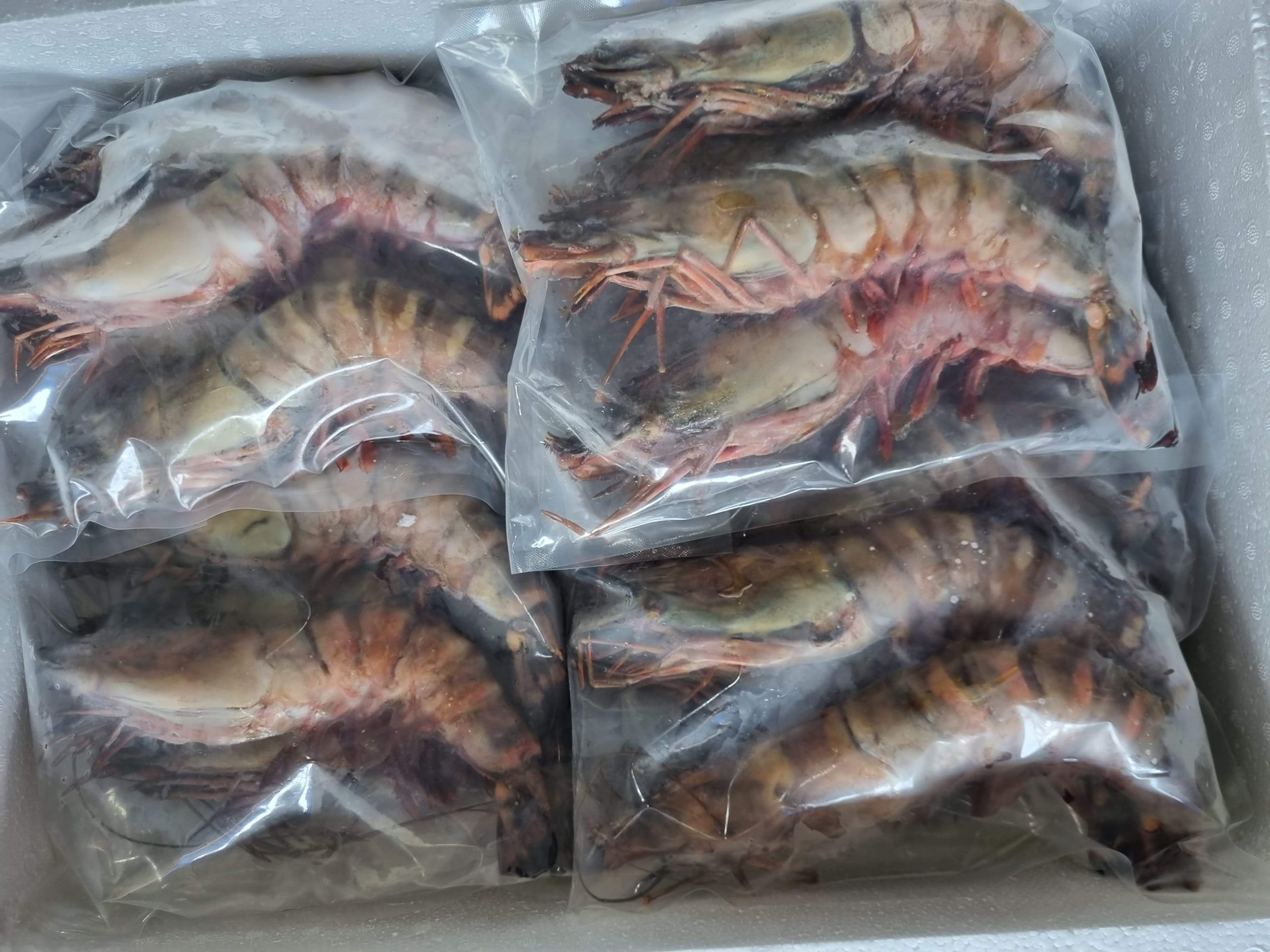 Tôm Sú Biển Cấp Đông