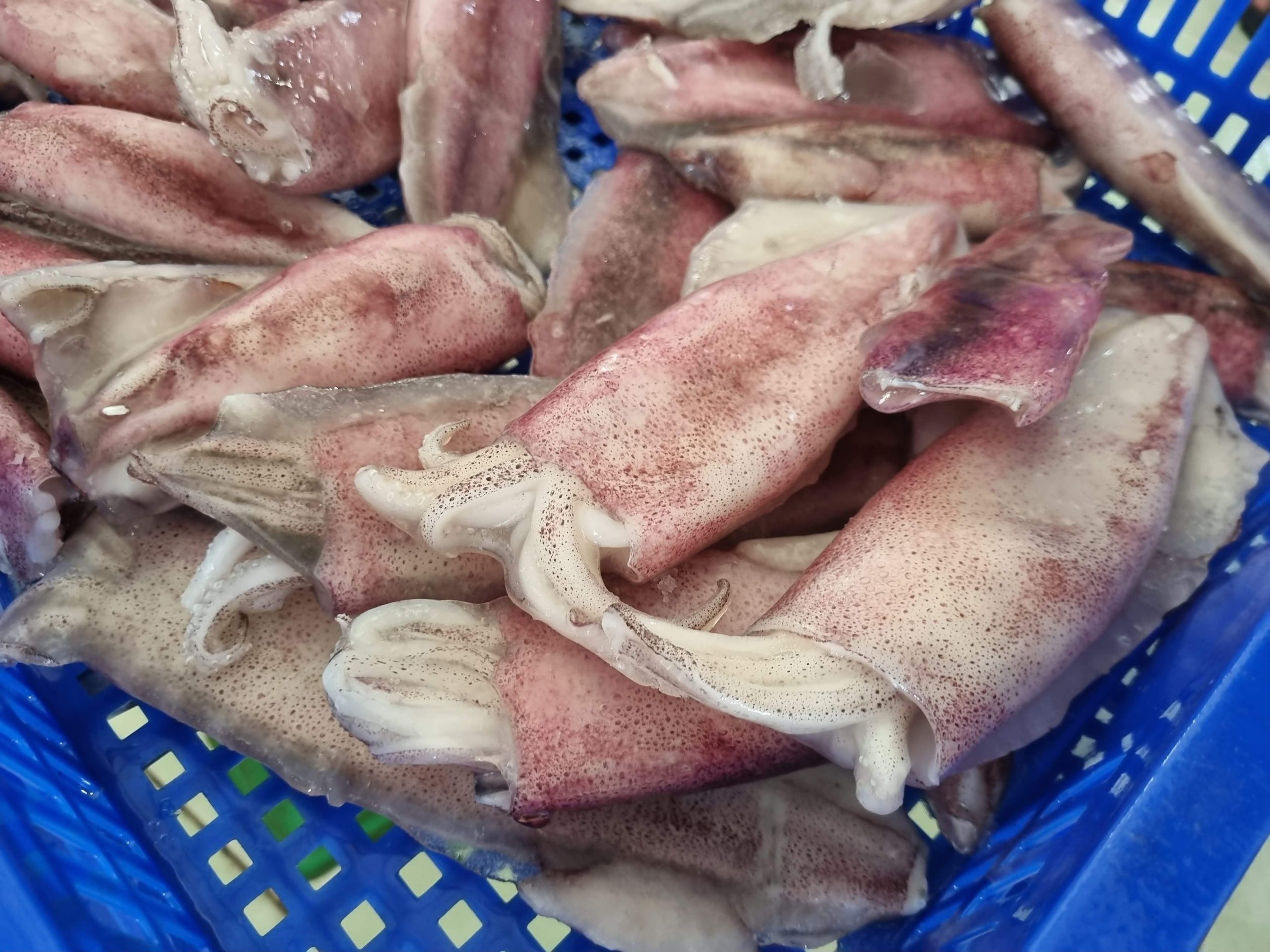 Mực Ống Nguyên Con Làm Sạch Cấp Đông