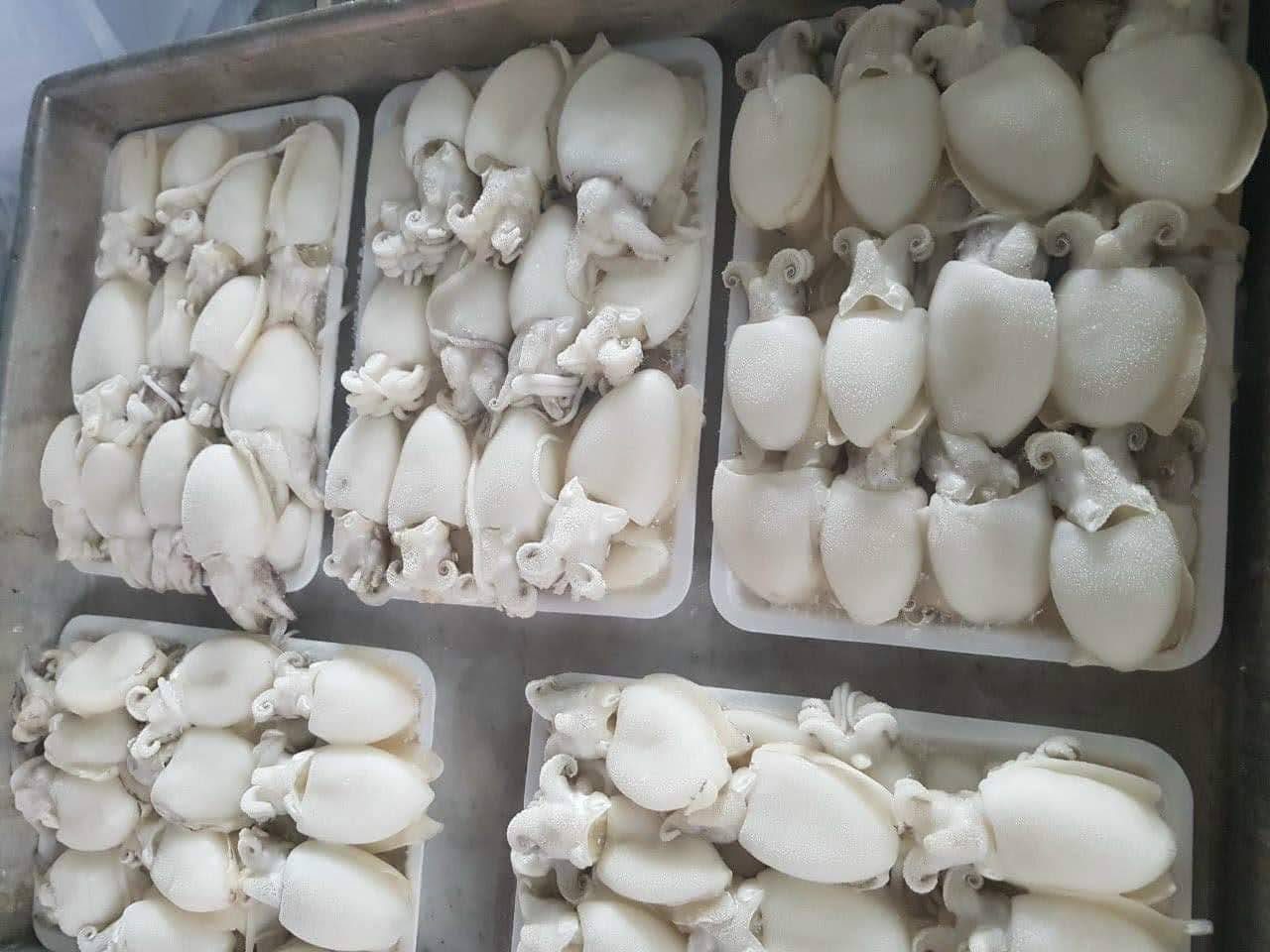 Mực Nút Làm Sạch Cấp Đông