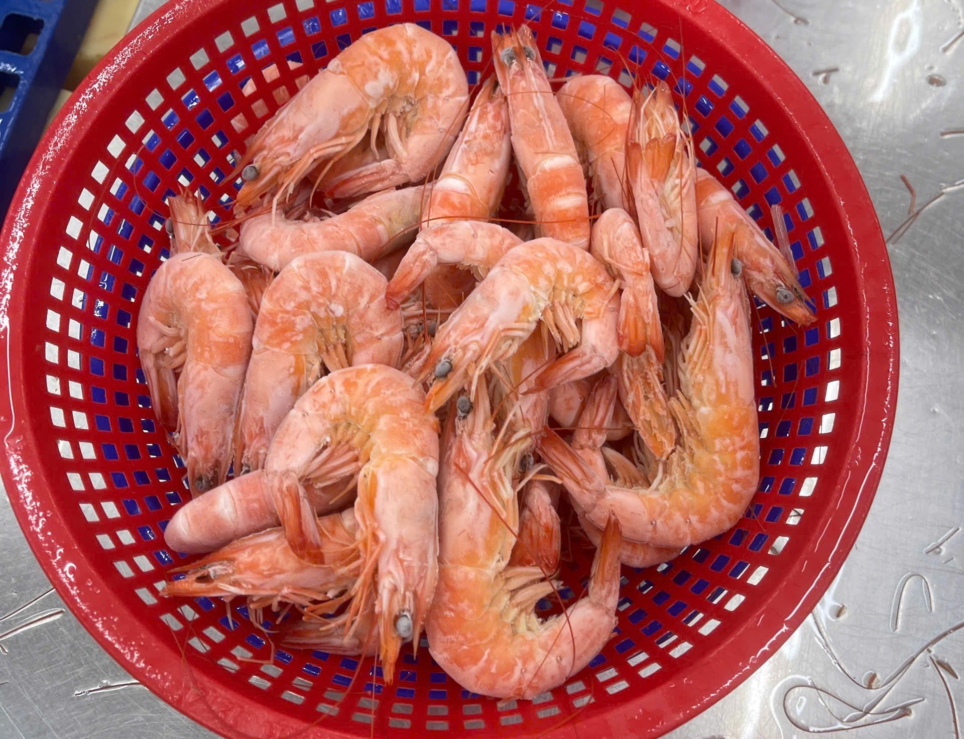 Tôm Thẻ Nguyên Con Luộc Cấp đông Rời 