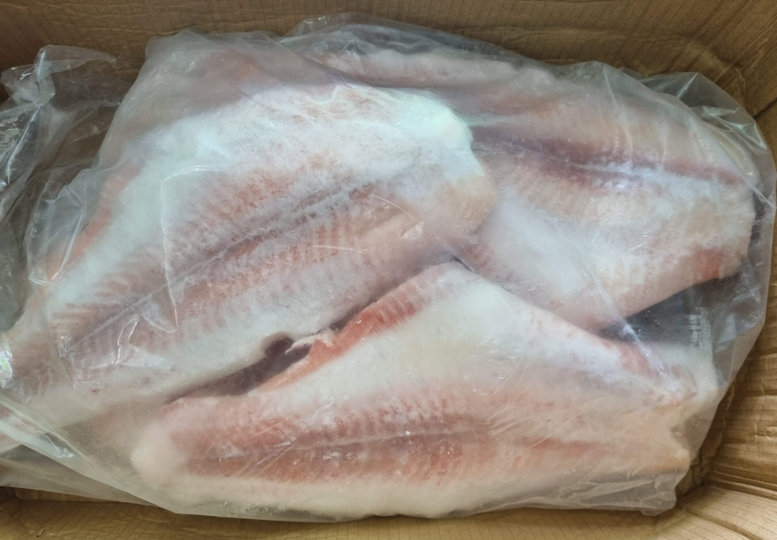 Cá Basa Fillet Cấp Đông