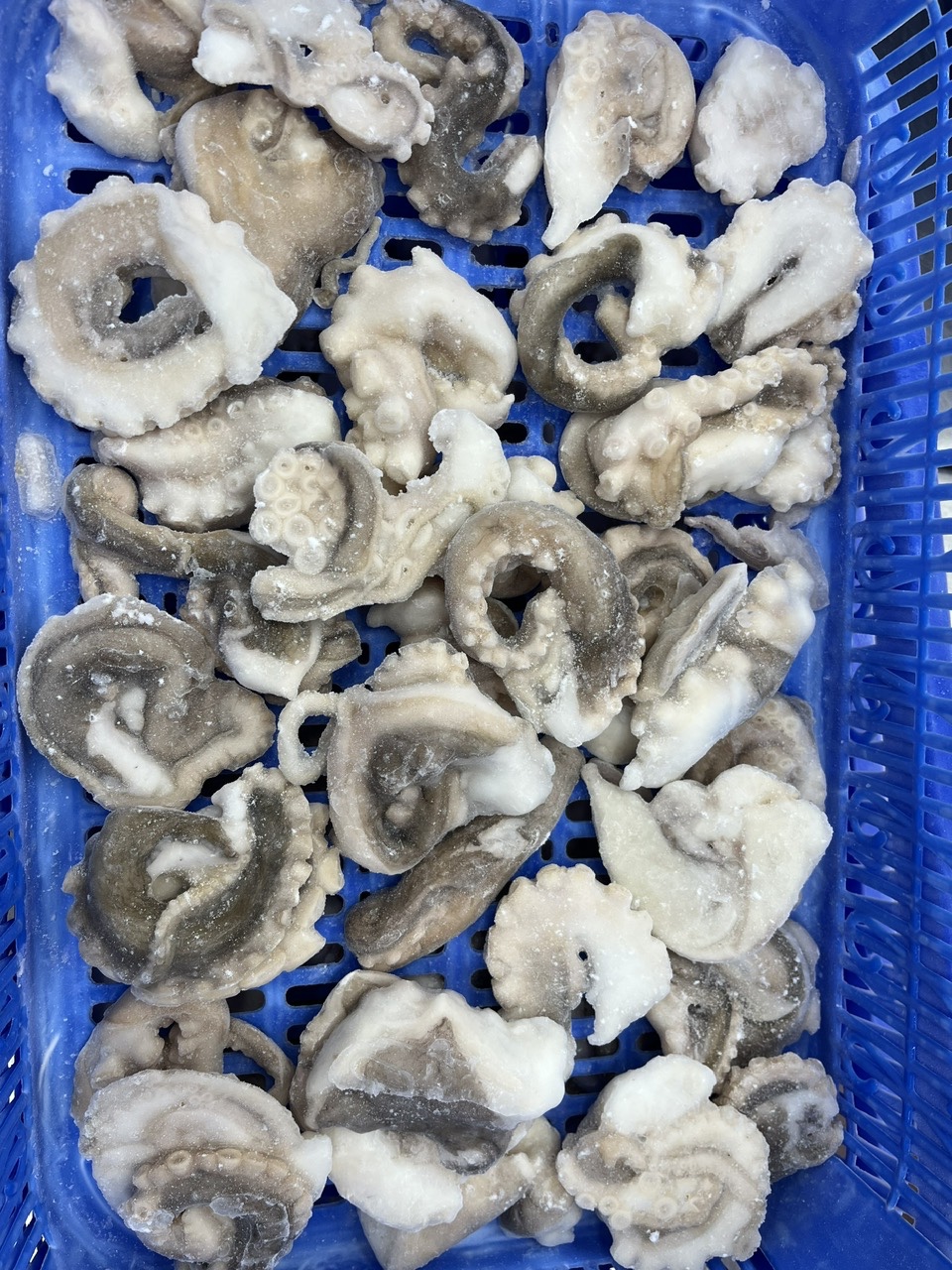 Frozen Cleaned Sliced Octopus