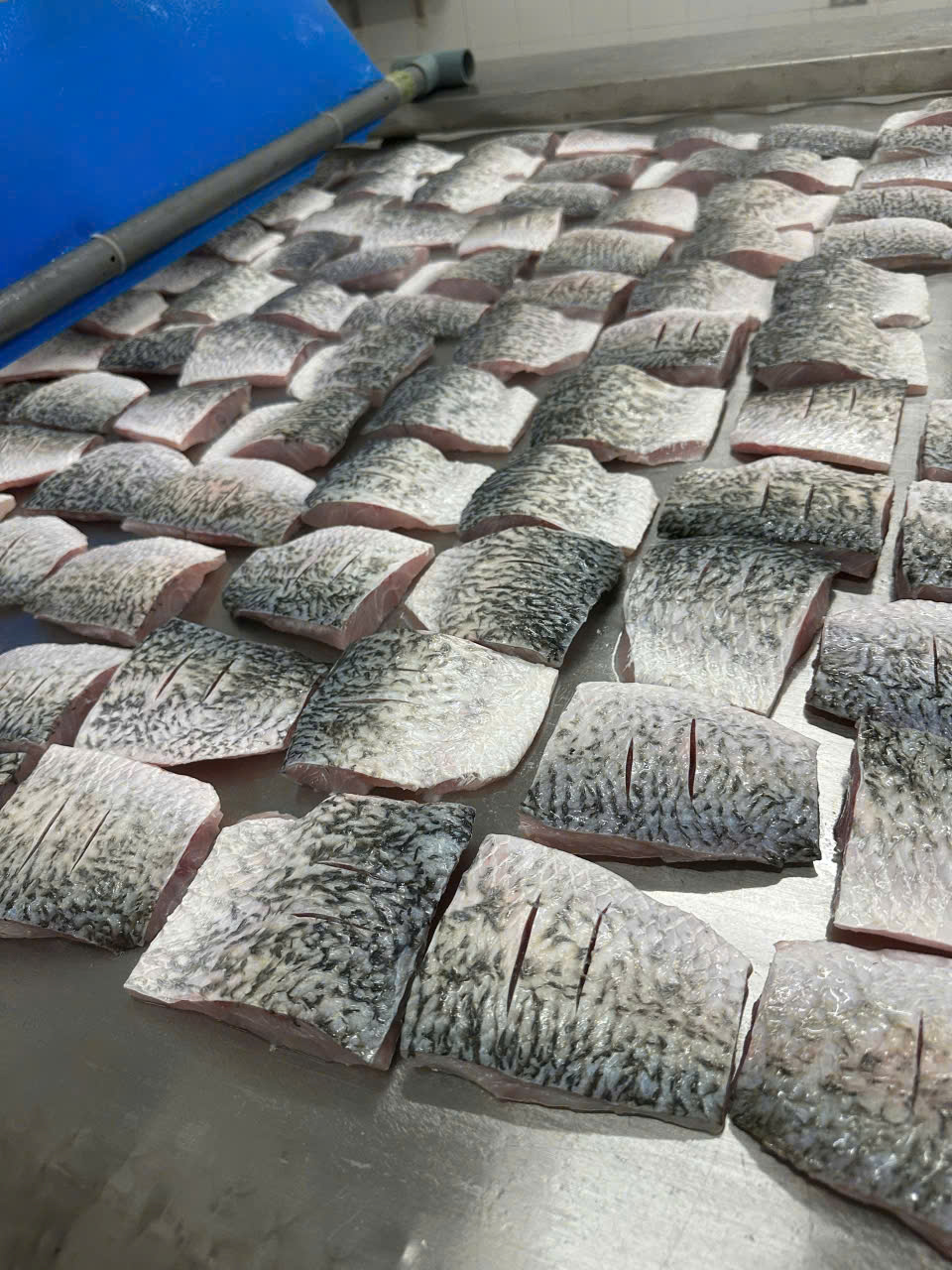 Cá Chẽm Fillet Còn Da Cấp Đông
